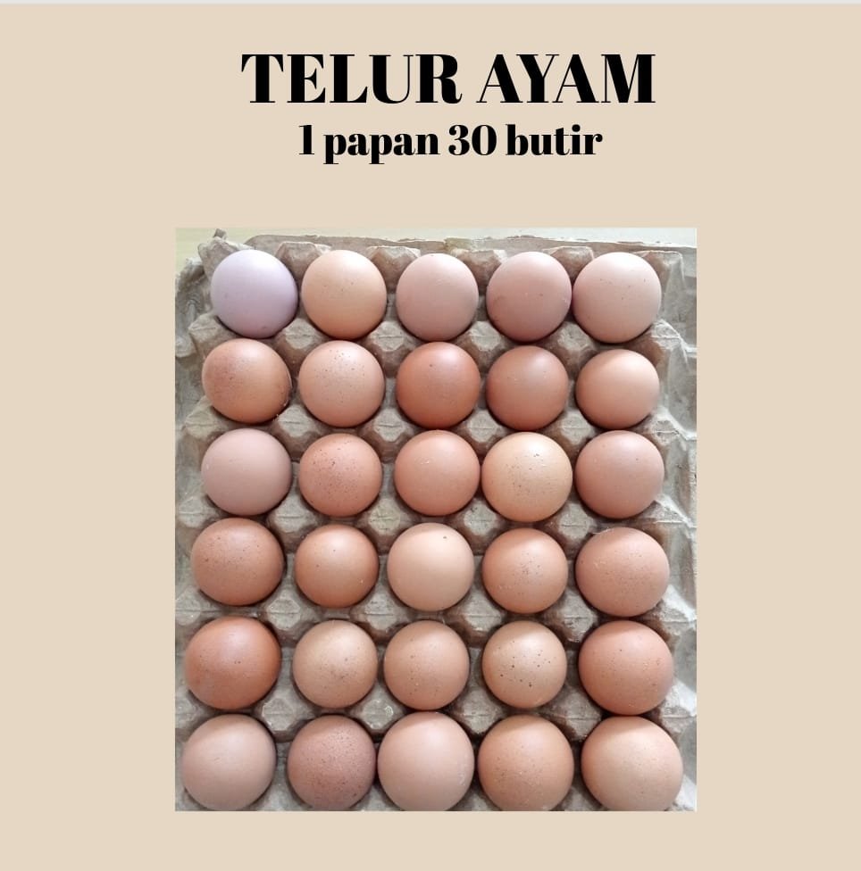Foto Produk